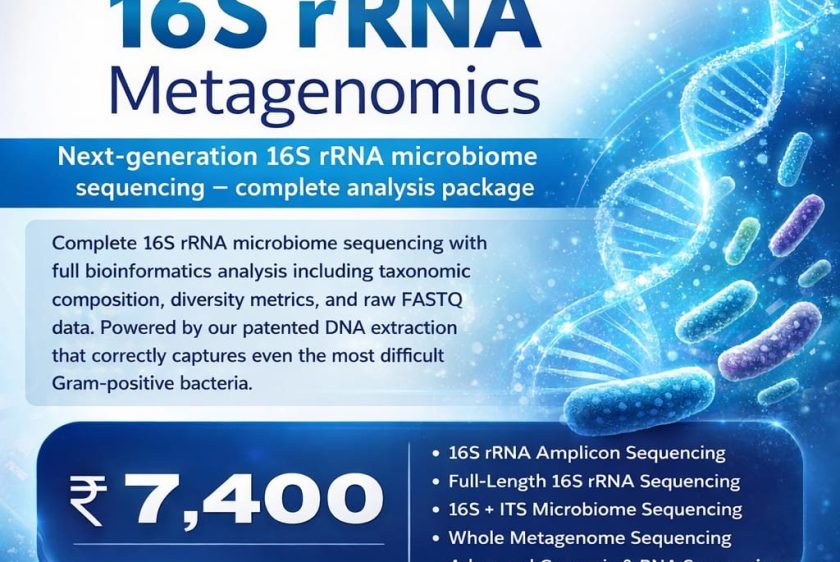 AMMAGENOMICS 16S rRNA metagenomics gut microbiome sequencing services with bioinformatics analysis