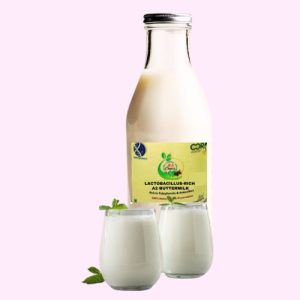 Lactobacillus-Rich A2 Buttermilk