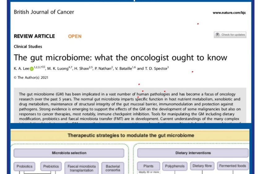 AMMAGENOMICS Cancer Treatment